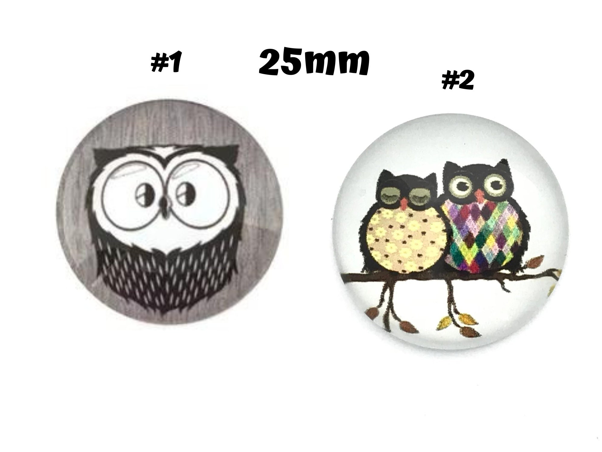 12 Owl Cabochon 25mm Round