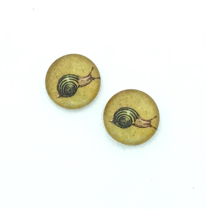 10 Snail Glass Photo Cabochon 12mm Round