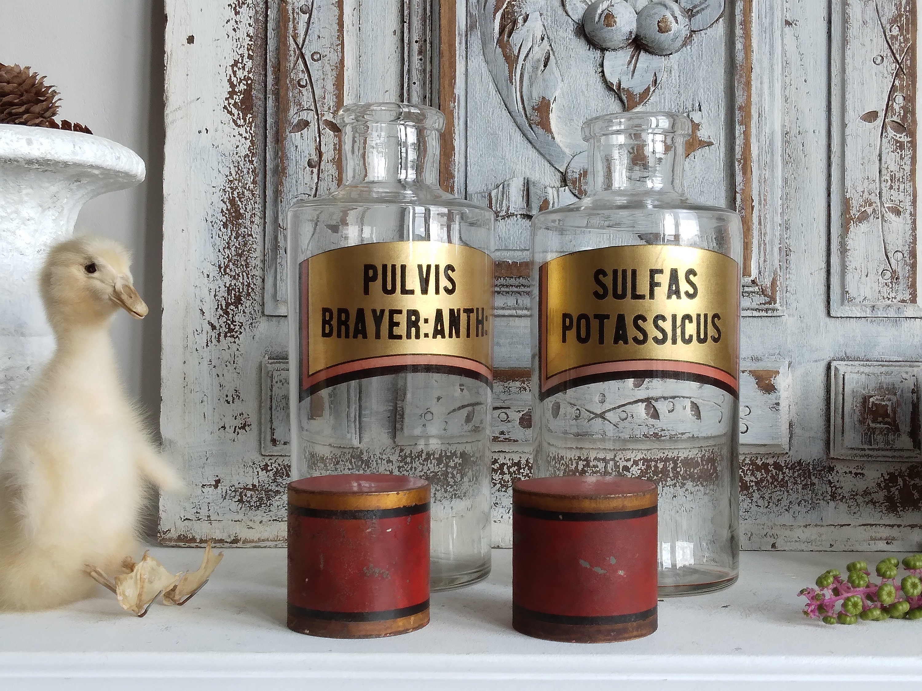 Paire de Pots d'apothicaire en Verre Soufflé à La Bouche, Xixe