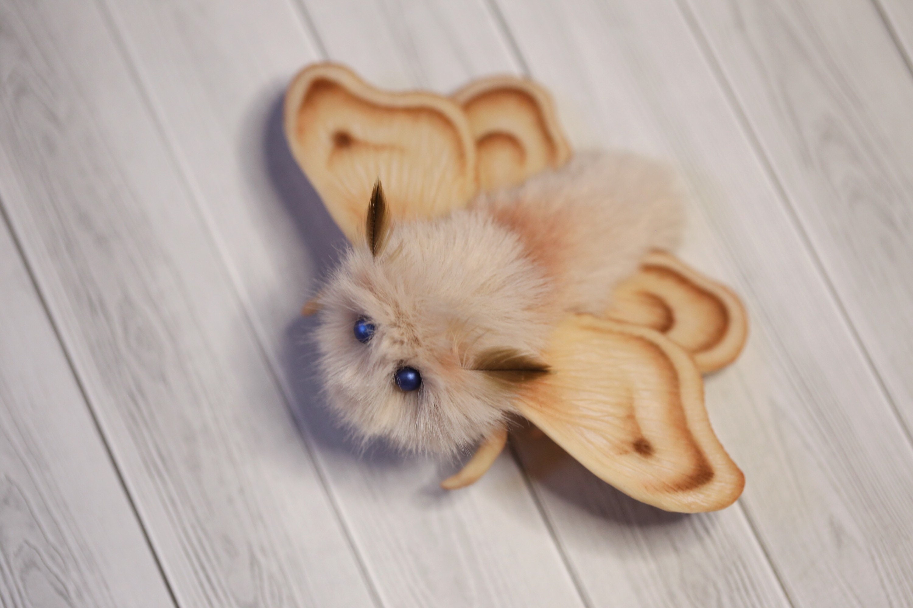 Moth plush FOR ORDER brown butterfly figurine insect plush | Etsy