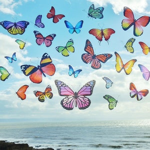 Colorful Butterfly Window Clings: Double Sided  Stickers
