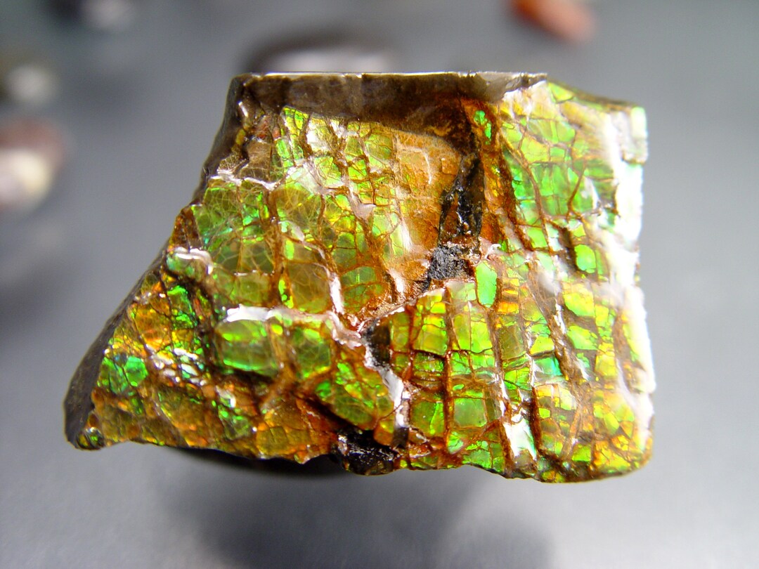 Imperial AMMOLITE OPALIZED Large Fossil Gemstone Rainbow Gem Etsy.de