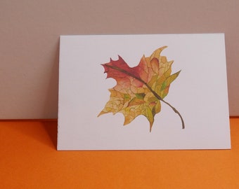 Autumn Leaf Postcard