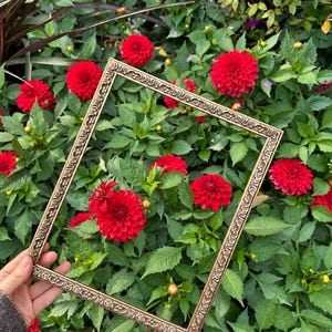 May include: A rectangular picture frame with an ornate, embossed metallic gold finish featuring intricate scrollwork and floral patterns along the border. The frame is hollow, showcasing a vibrant background of green leaves and red dahlia flowers.