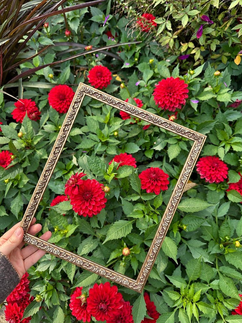 May include: A rectangular picture frame with an ornate, embossed metallic gold finish featuring intricate scrollwork and floral patterns along the border. The frame is hollow, showcasing a vibrant background of green leaves and red dahlia flowers.