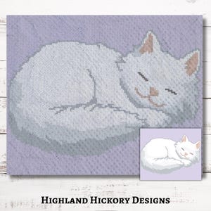 May include: A white cat with closed eyes is curled up and sleeping on a light purple background. The cat has a small pink nose and a slight smile on its face.
