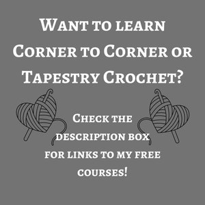 Gingerbread Man Graph Crochet Pattern C2C, Mini c2c, tss, sc, hdc, dc Graphgan With Written Instructions, Corner to Corner tapestry crochet image 5