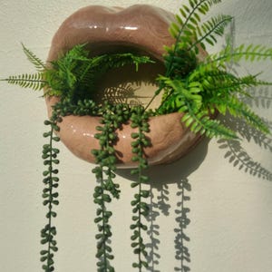 May include: A unique, wall-mounted planter shaped like a pair of lips, in a muted pink hue. The planter is filled with vibrant green plants, including trailing vines. The image also includes the text "Sassy Soul Sister" and "Unique Gifts".
