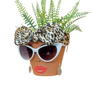 May include: A terracotta flower pot decorated with a painted face, white sunglasses, and gold earrings. A leopard print scarf is tied around the pot, and green fern-like plants sprout from the top.