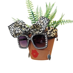 May include: A terracotta flower pot decorated with a face, wearing rhinestone-studded sunglasses, a leopard print scarf, and earrings. Green fern-like plants sprout from the top of the pot. A red lip graphic is on the pot.