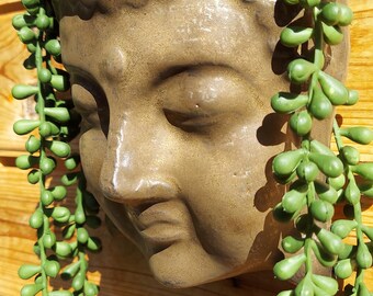 Buddha Keramik Wand Übertopf, handgemachte Keramik Kunst, einzigartiges Wohndekor