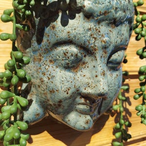 May include: A ceramic Buddha head planter in shades of blue and brown, with a speckled finish. The planter is filled with green, cascading string of pearls plants. The planter is mounted on a wooden surface.