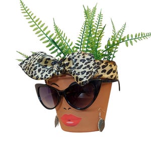 May include: A terracotta flower pot decorated with a face, sunglasses, and earrings. The pot has a leopard print bow and green fern-like plants sprouting from the top. The sunglasses are black, and the lips are red.