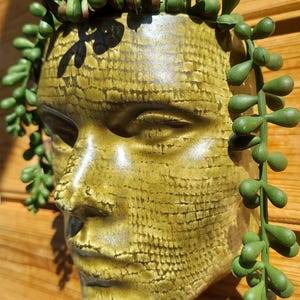 May include: A ceramic face-shaped planter in a muted olive green hue, textured with a subtle pattern. The planter is adorned with cascading green, succulent-like plants, creating a unique decorative piece for indoor or outdoor use.