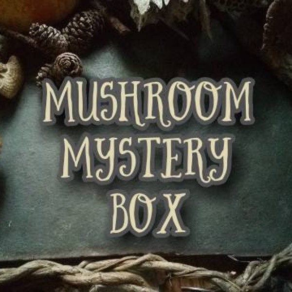 MYSTERY MUSHROOM Assortment! 50 Piece Dried Variety. Shelf  Polypore Fungi Specimens Oddity Rustic Wedding Craft Eco Decor Fairy Terrarium