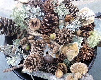 Forest Findings Mystery Bowl Vase Filler -Eco Decor - Assorted Acorn Mushroom Lichen Pinecone - Rustic Centerpiece Craft Cottagecore Witch