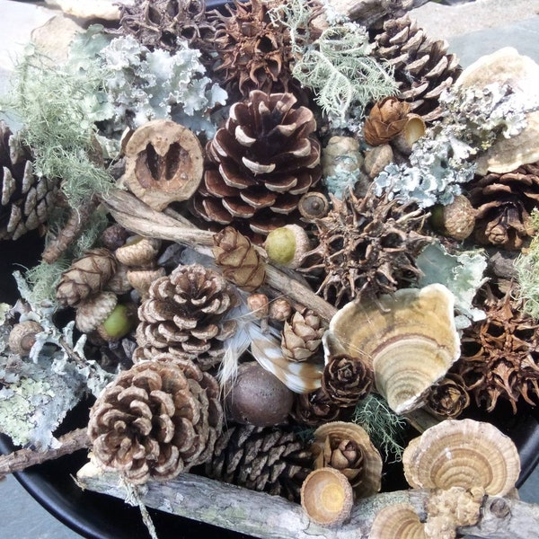 Forest Mystery Box Bag Bowl Vase Filler -Eco Decor - Assorted Acorn Mushroom Lichen Pinecone - Rustic Centerpiece Natural Craft Cottagecore