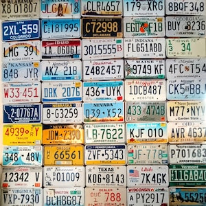 May include: A collection of 60 vintage license plates from different states in the United States. The plates are arranged in rows and columns, and each plate features a unique design and state name.