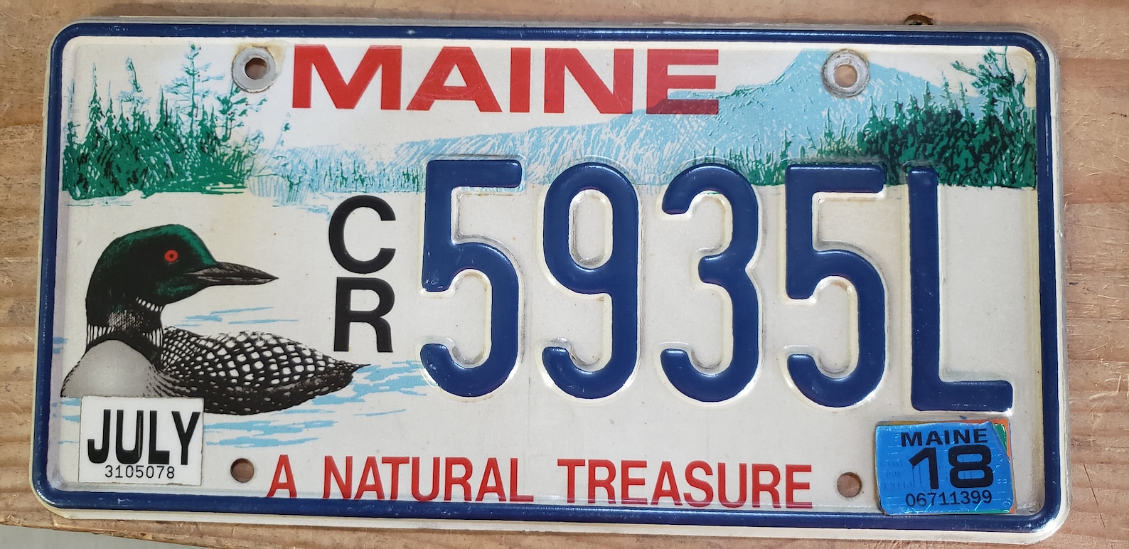MAINE license plate. This is a real plate. Fast shipping Etsy