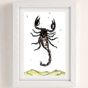 Scorpion Zodiac Sign Wall Art Print