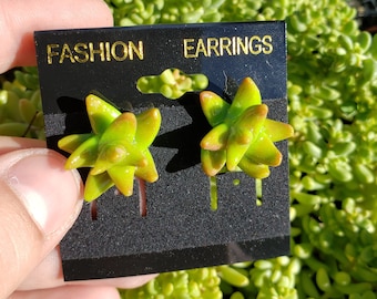 Clay succulent earrings