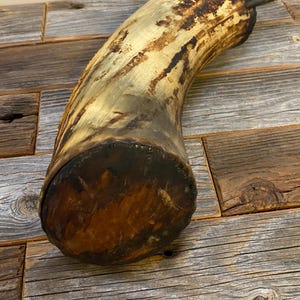 1800's Antique Conestoga Wagon Wheel Grease Horn image 5