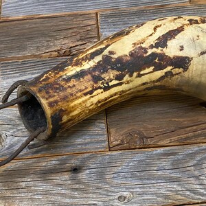 1800's Antique Conestoga Wagon Wheel Grease Horn image 3
