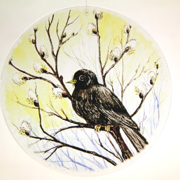 Acrylglas Fensterbild Vogel Amsel rund oder oval