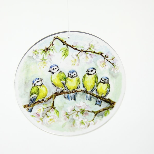 Acrylglas Fensterbild Vogel Meisen rund oder oval