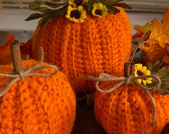 Crochet Pumpkin: Fall Decor with Cinnamon Stick Stem