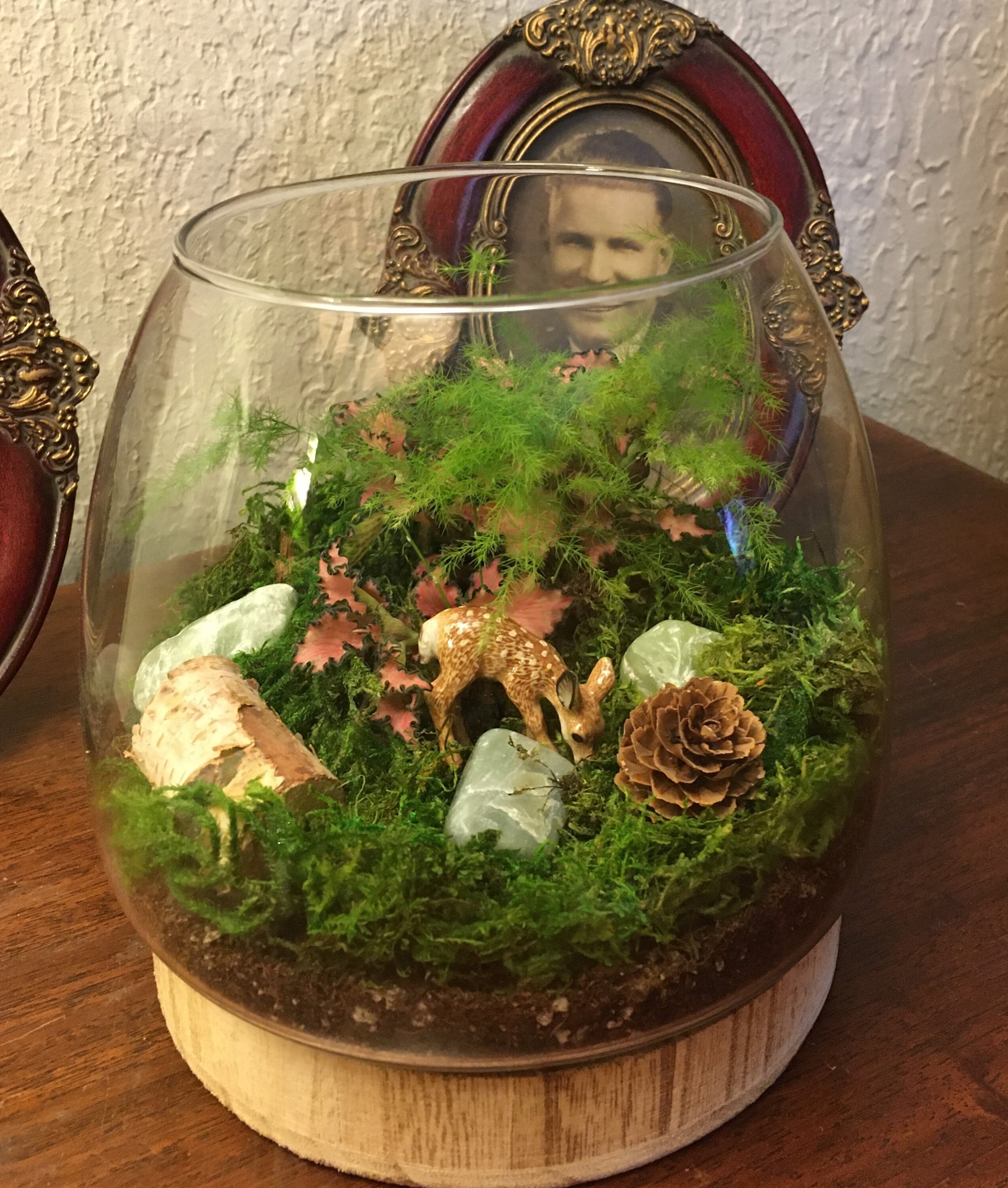 Miniature Tranquility Forrest Garden Terrarium With Fawn 835B Etsy