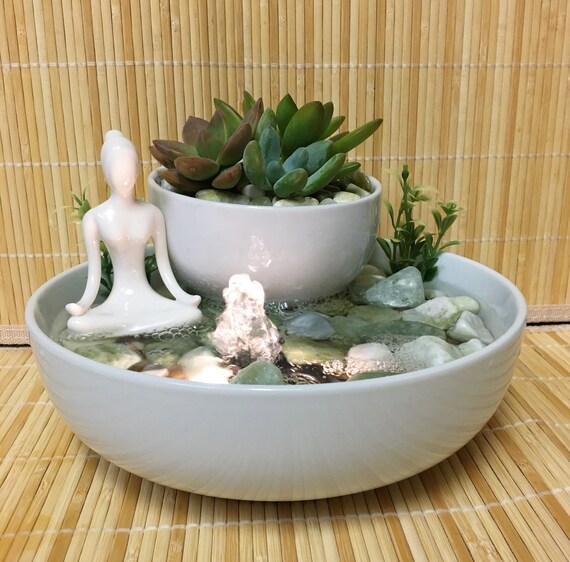 fertilizer for jade plant Premium Liquid Jade Plant Fertilizer - 3-1-2 Concentrate for Indoor Plants and Flowers by Gardenera | Organic Plant Food for Jade Plants main image 1