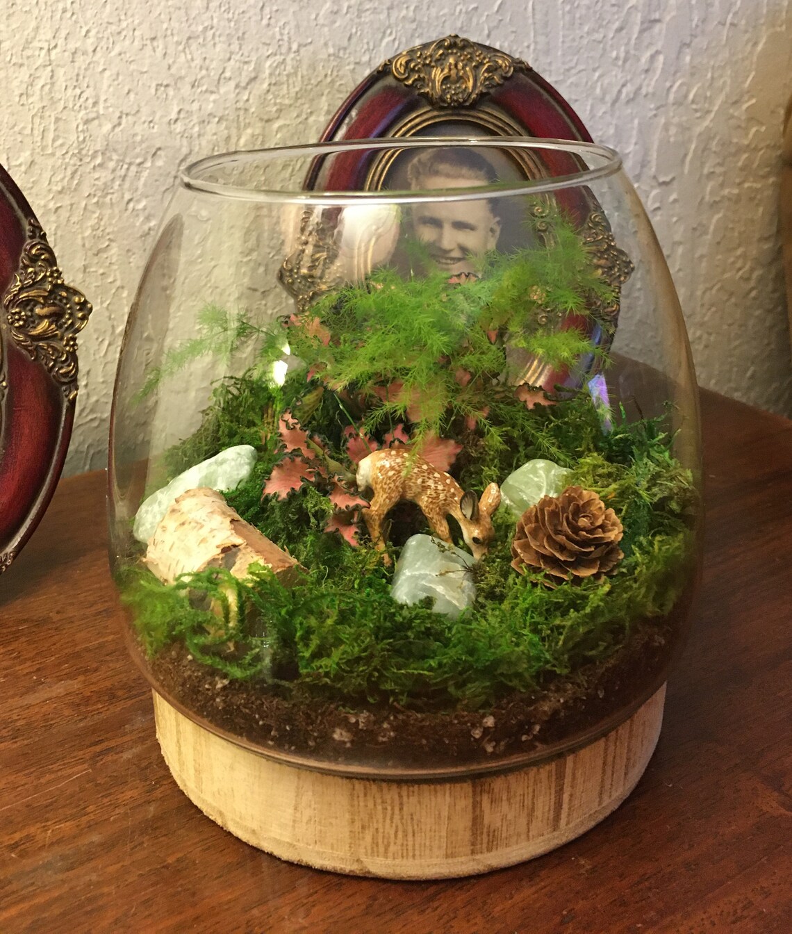 Miniature Tranquility Forrest Garden Terrarium With Fawn 835B Etsy