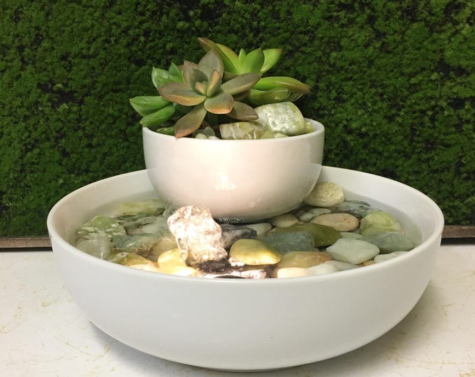 Tranquility Tabletop Jade Water Garden Fountain LIVE Succulents, Zen #412