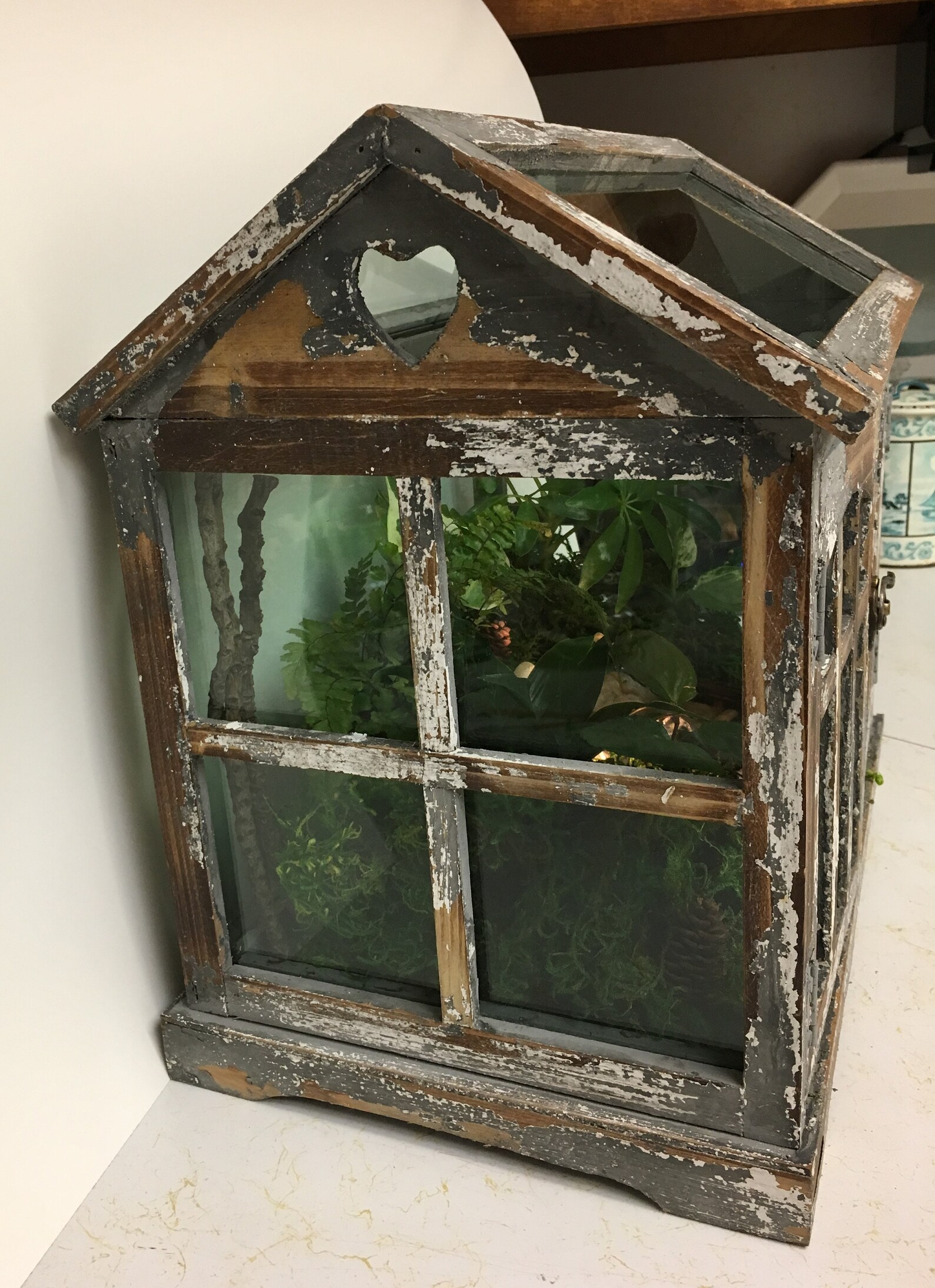Wooden Terrarium With Matching Tranquility Tabletop Fountain Etsy