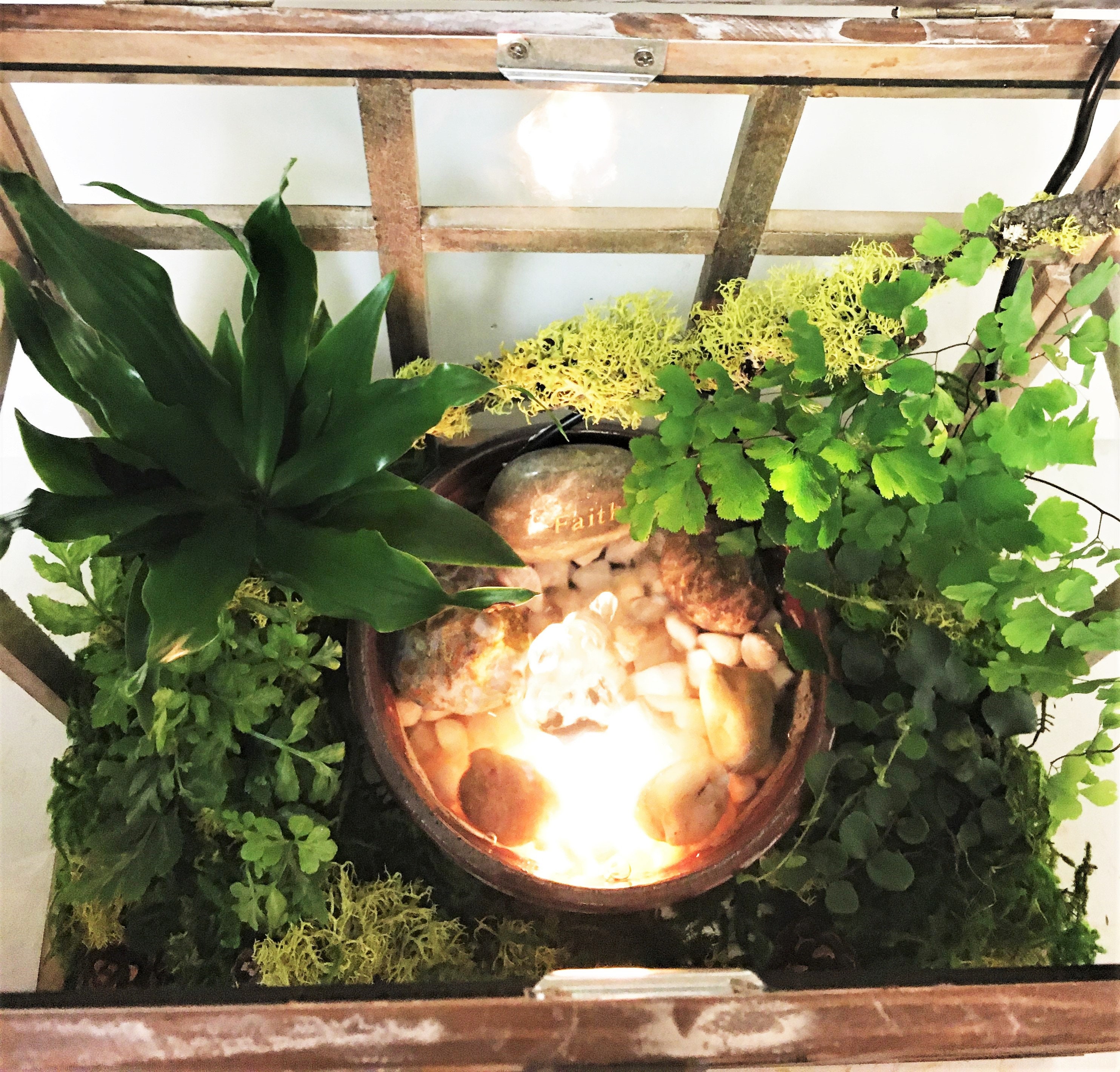 Wooden Terrarium With Tranquility Fountain &amp; Plants Farm