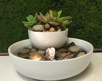 Fountain Tranquility Tabletop Natural Water Garden Fountain With Live Succulents,  Zen #413