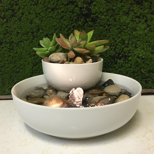 Tranquility Tabletop Water Fountain Garden, Natural With LIVE Succulents Zen #413