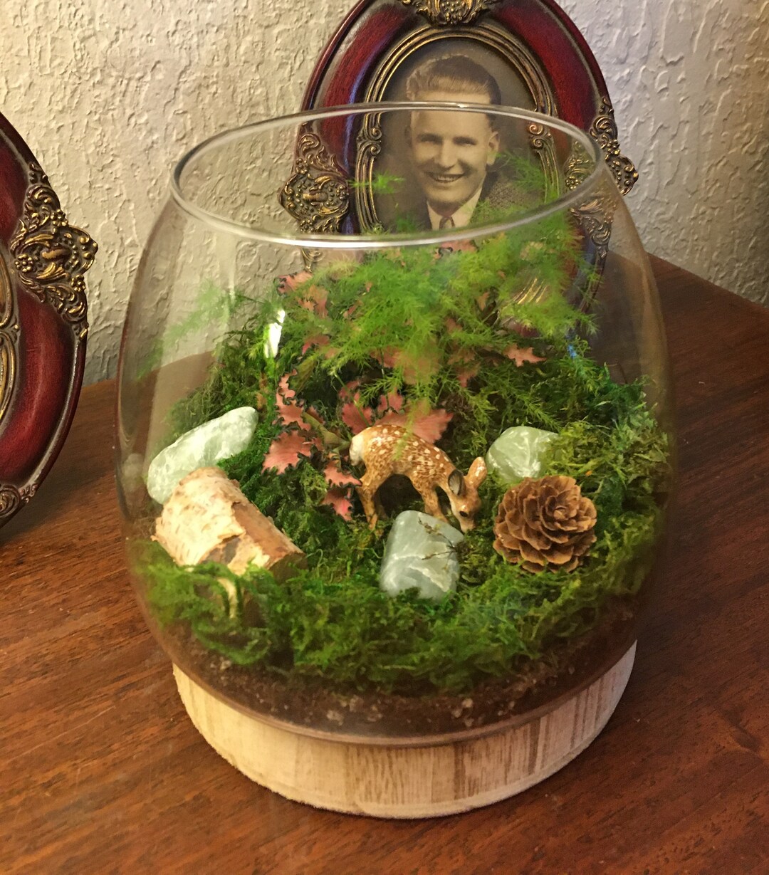 Miniature Tranquility Forrest Garden Terrarium With Fawn 835B Etsy