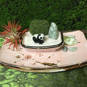 Miniature Tranquility Zen White-Sand Tabletop/Desktop Garden Tray With Live Air Plant & Panda