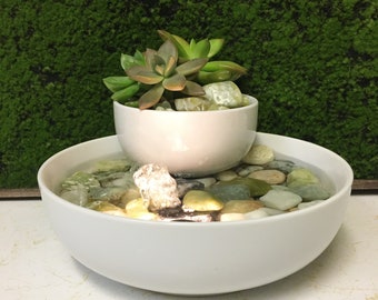 Fountain Tranquility Tabletop Jade Water Garden Fountain With Live Succulents,  Zen #412