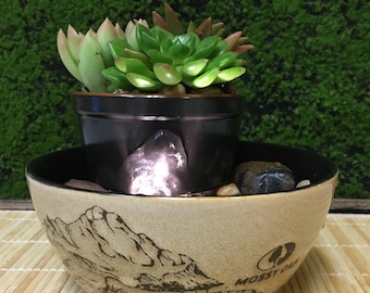 Tranquility Tabletop Water Fountain Mossy Oak LIVE Succulents #931