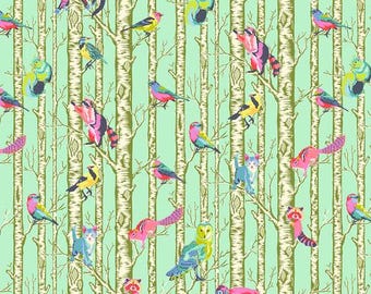 Vollmondwald Stoff 0,5 Meter, Tula Pink Stammbaum verzauberte Quilt Baumwolle, Free Spirit Waschbär Quilt Stoff, Vogel Stoff