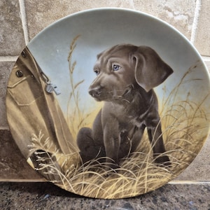 Puede incluir: Plato decorativo con un cachorro de labrador marrón sentado en hierba alta. El cachorro tiene ojos azules y mira hacia la izquierda. Una chaqueta marrón claro es parcialmente visible en el lado izquierdo. El plato tiene un borde azul claro.