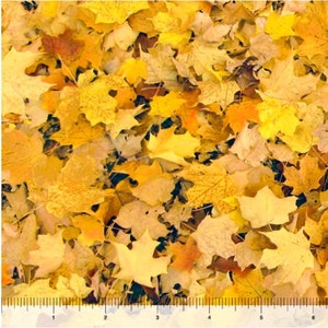 Plant fabric by half yard, fall leaves cotton, leaf quilting cotton, nature quilting fabric, fall sewing fabric, yellow leaves fabric