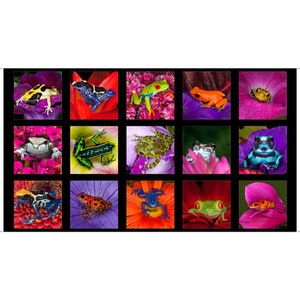 May include: A colorful fabric panel with 16 squares featuring different colored frogs on a variety of floral backgrounds. The frogs are green, blue, red, yellow, and black.
