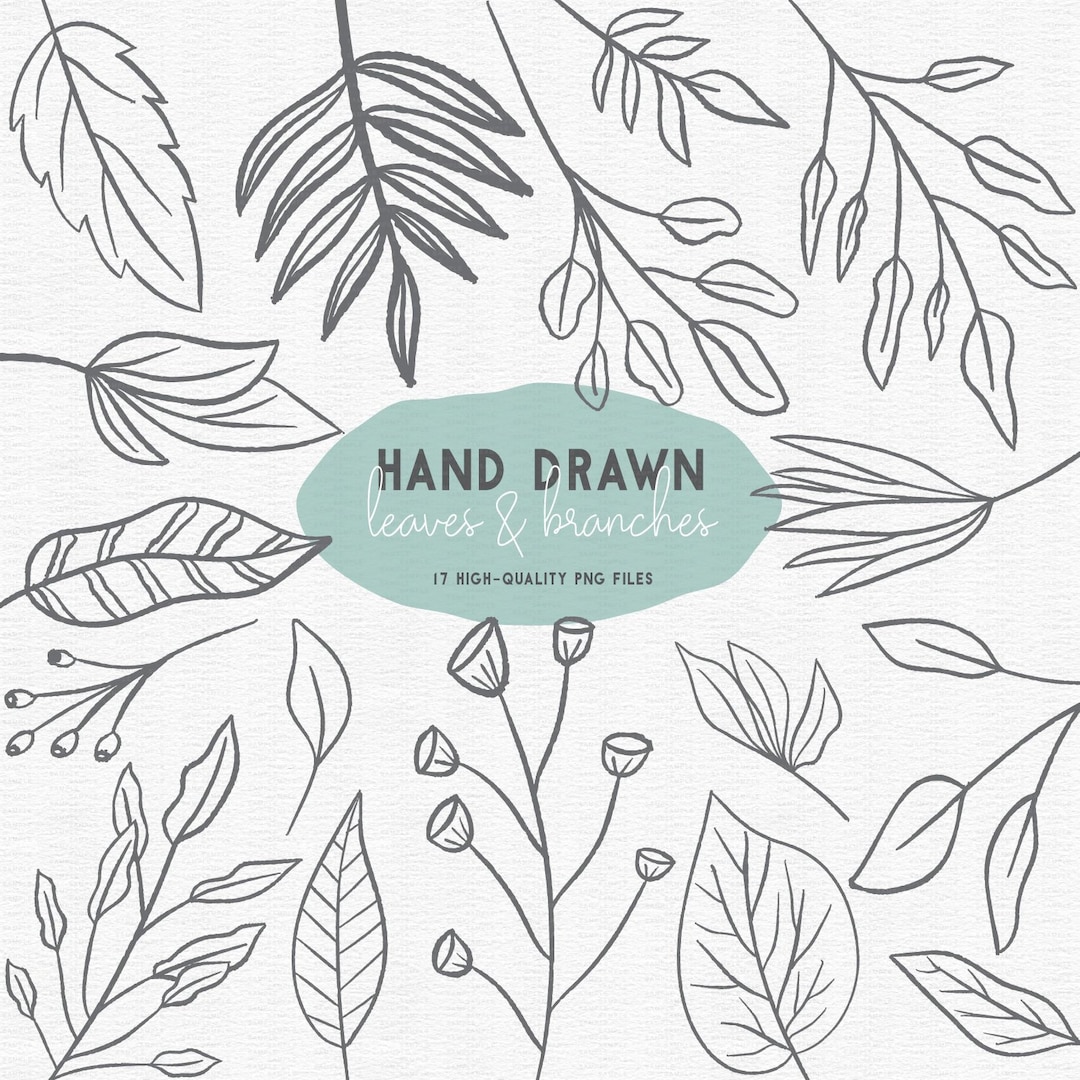 Hand Drawn Leaf Clipart Set – PNG Floral Illustrations (digital ...