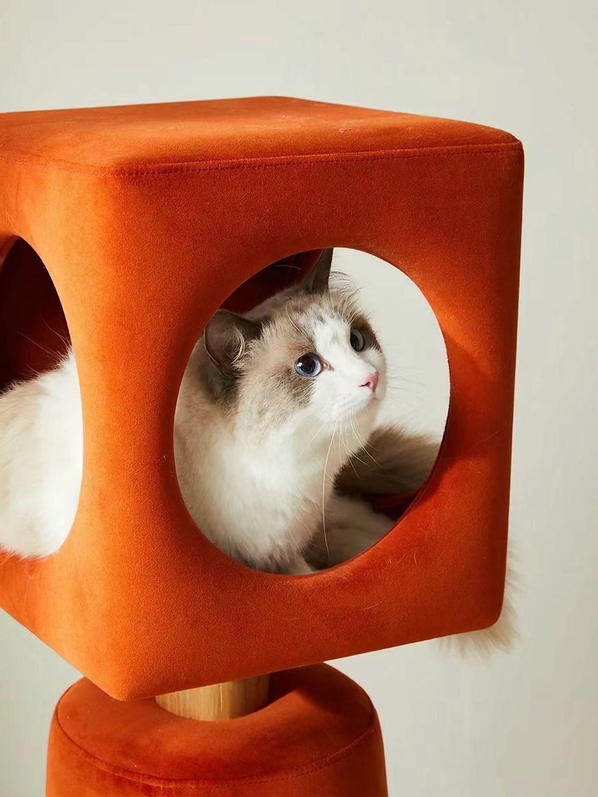 Tappetino Antigraffio Per Gatti - 2m X 40cm Autoadesivo, Per Divano E Mobili - Marrone - Foto 4