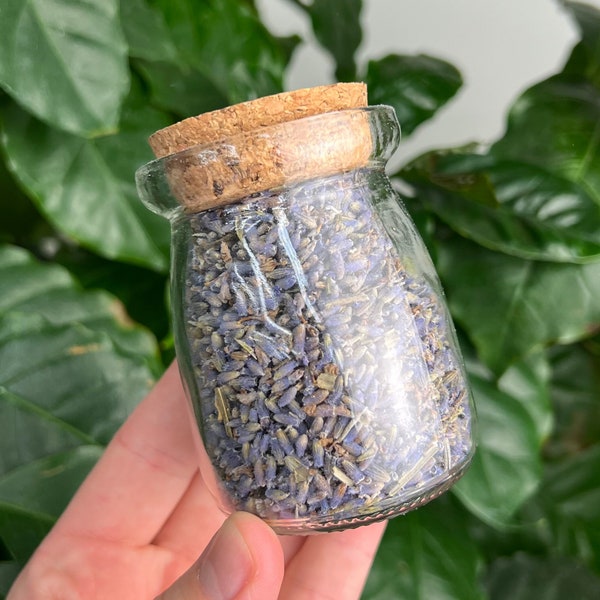 One Lavender Jar