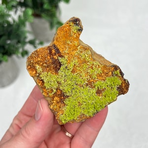 May include: A raw mineral specimen featuring a flat, irregular rock surface with a vibrant, textured layer of bright lime-green crystalline formations contrasted against a deep, earthy orange and dark brown iron-rich mineral matrix.